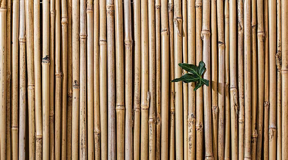 legno bambù naturale ecosostenibile