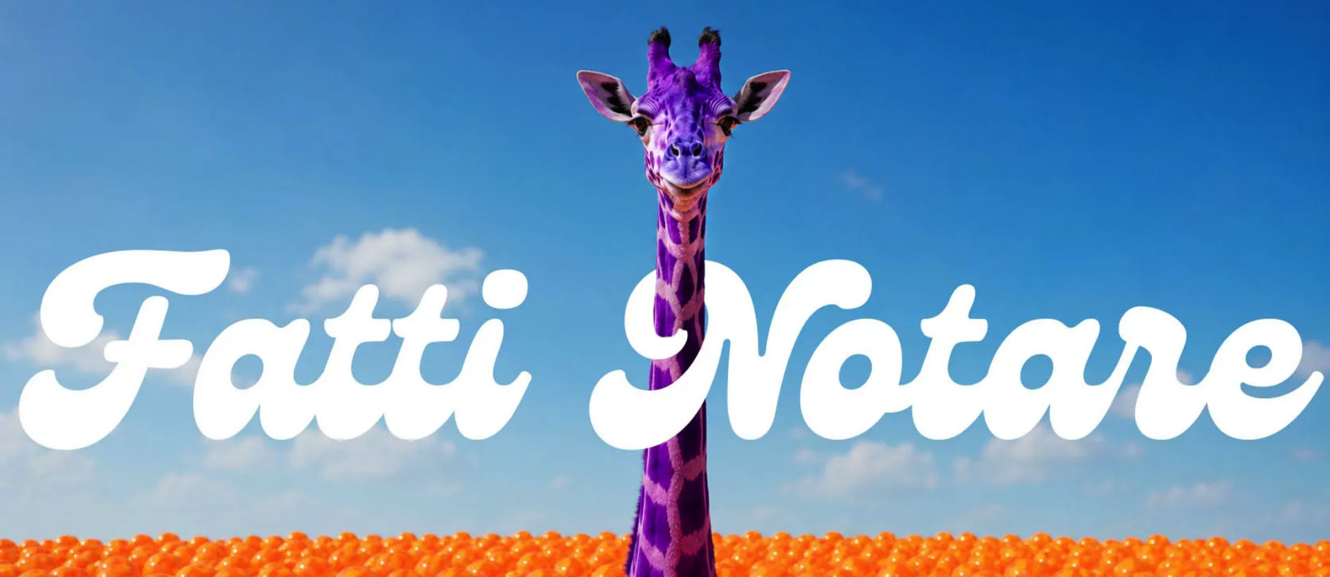 MM IMMAGINE - Articolipromozionali